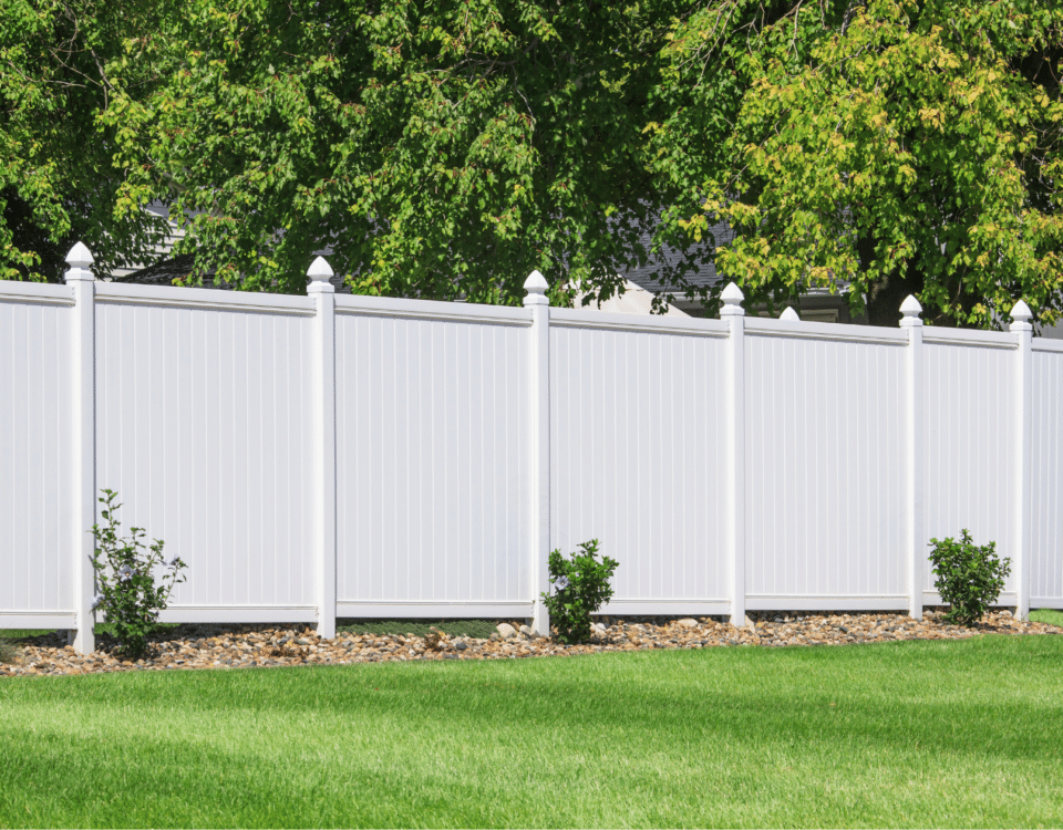 Fence in a back yard